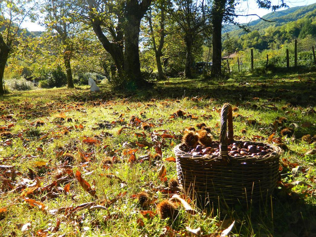 Agriturismo Casa Turchetti Βίλα Comano  Εξωτερικό φωτογραφία